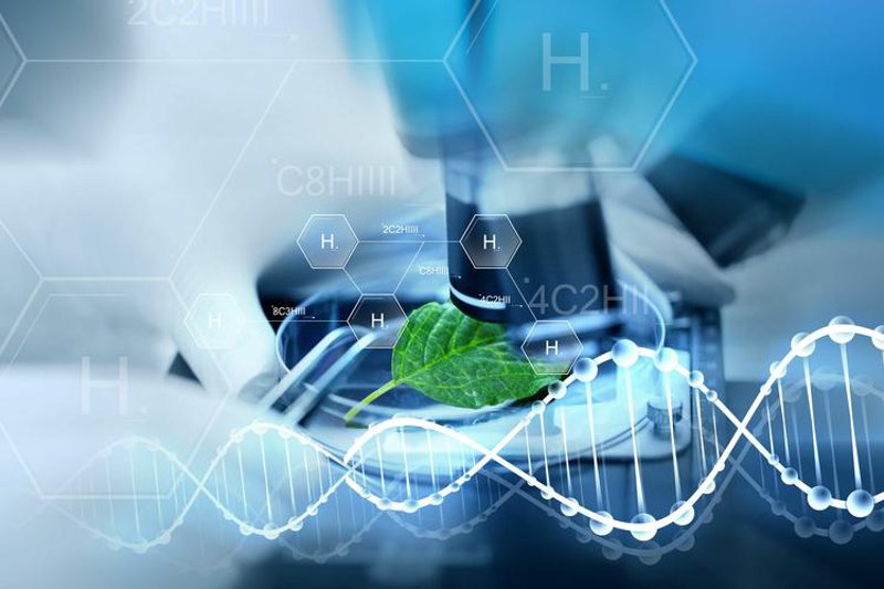 选购指南：打造广州生物科技实验室